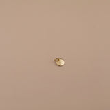 Polished Disc Pendant