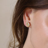 Cowrie CZ Stud Earrings