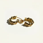 twisted rope hoop earrings flat lay, gold rope texture hoops detail, small twisted hoops, textured gold hoop earrings, everyday gold hoops, sculptural rope earrings, statement gold hoops, polished twisted earrings